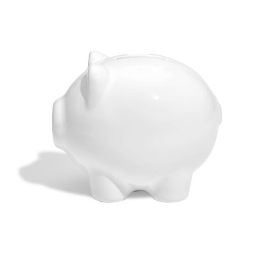 MiniPig skarbonka mała